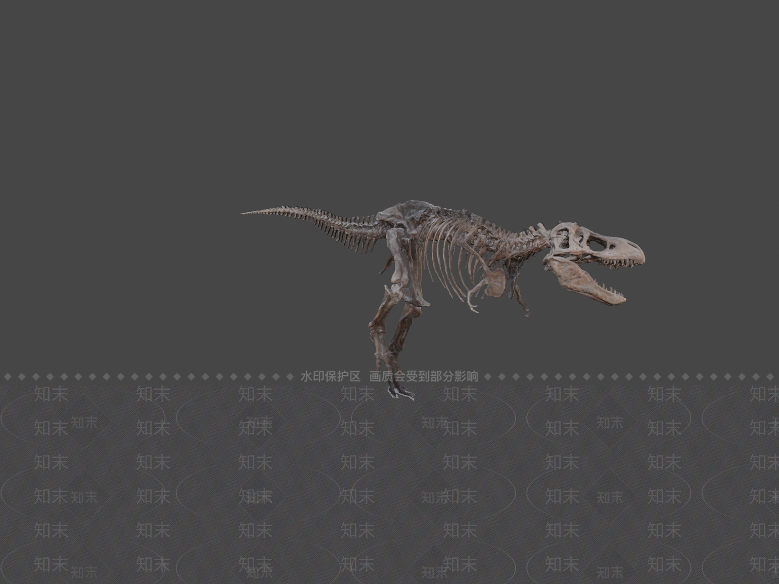 其他动物3D模型下载【ID:1197239458】