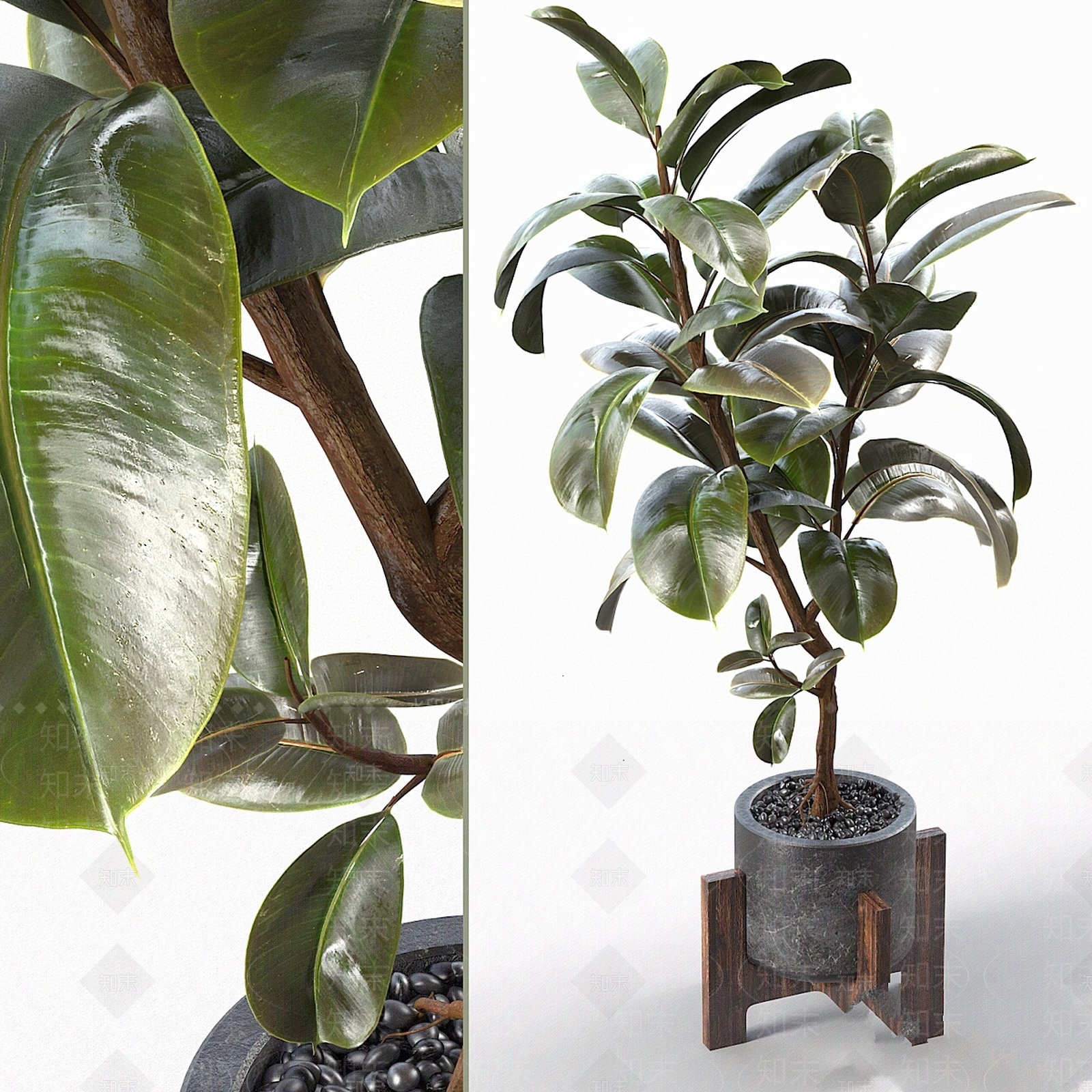 盆栽3D模型下载【ID:1197246105】
