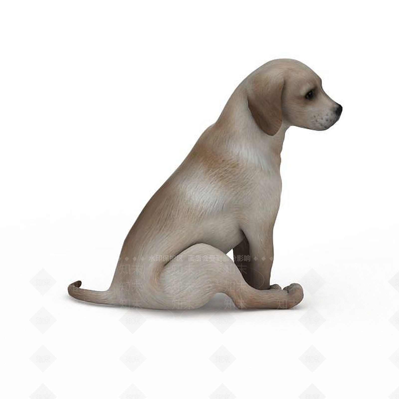 现代爬行类动物3D模型下载【ID:1197259884】