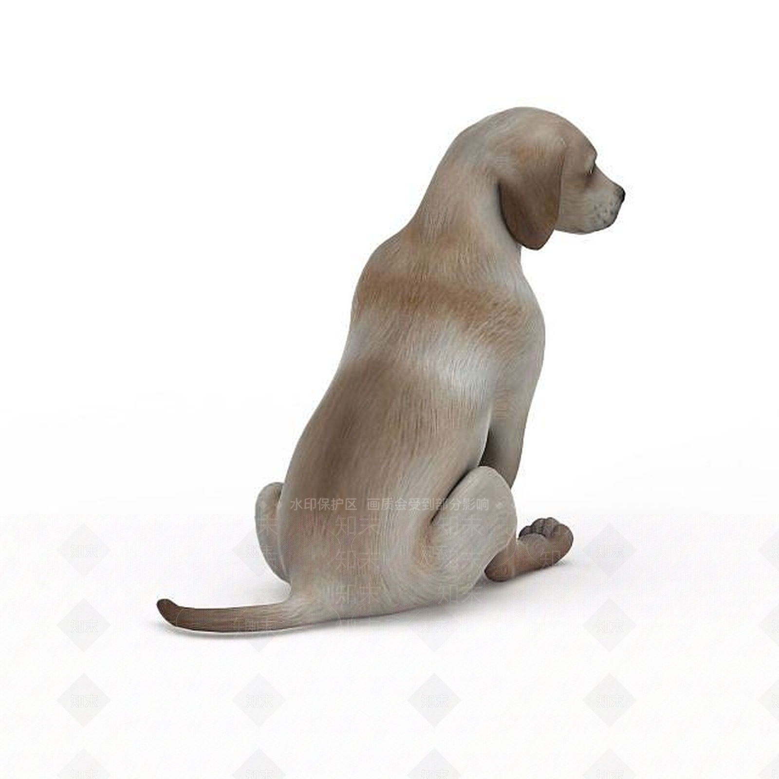 现代爬行类动物3D模型下载【ID:1197259884】