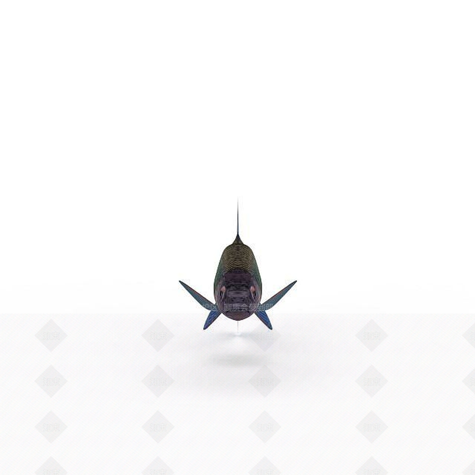 现代爬行类动物3D模型下载【ID:1197259921】