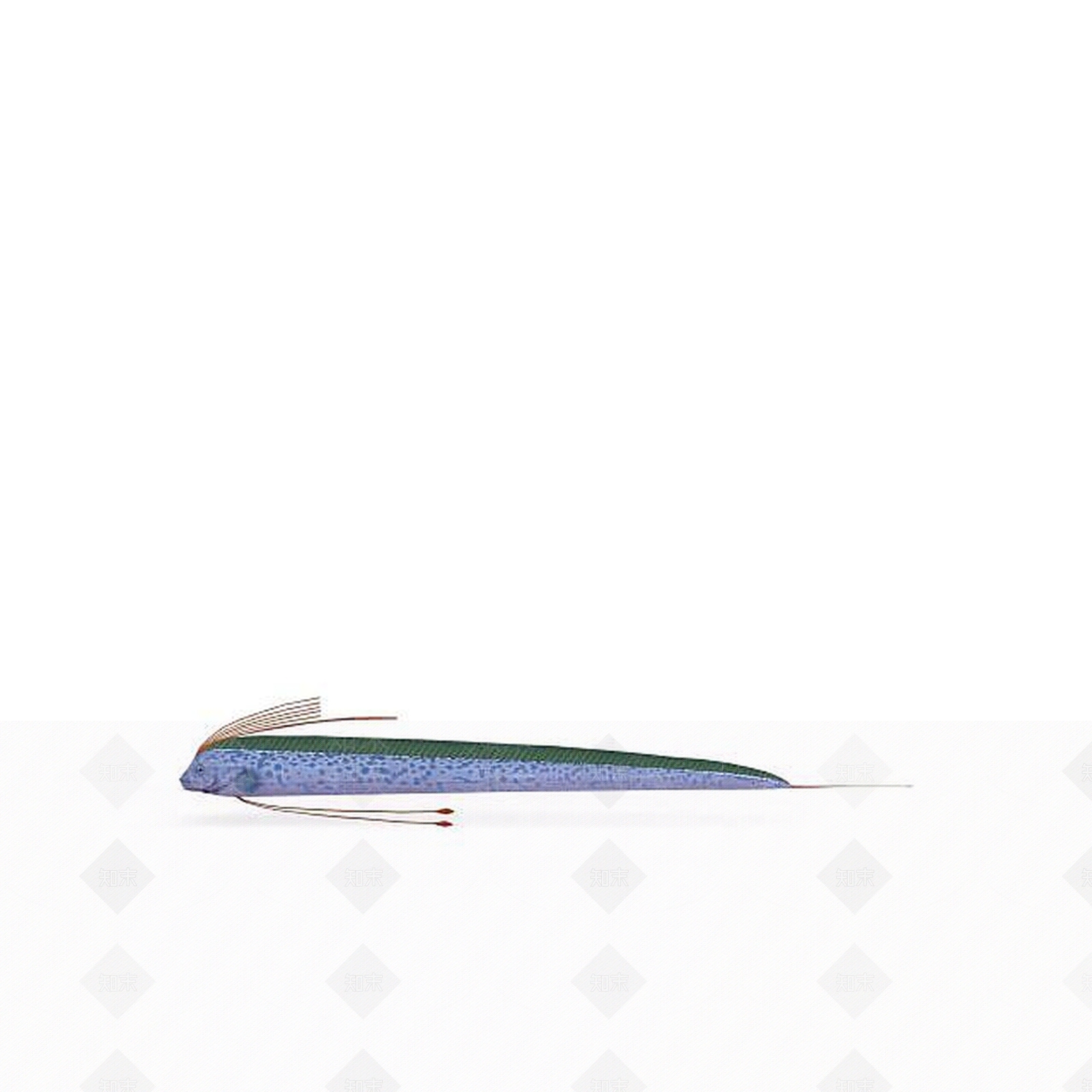 现代爬行类动物3D模型下载【ID:1197259985】
