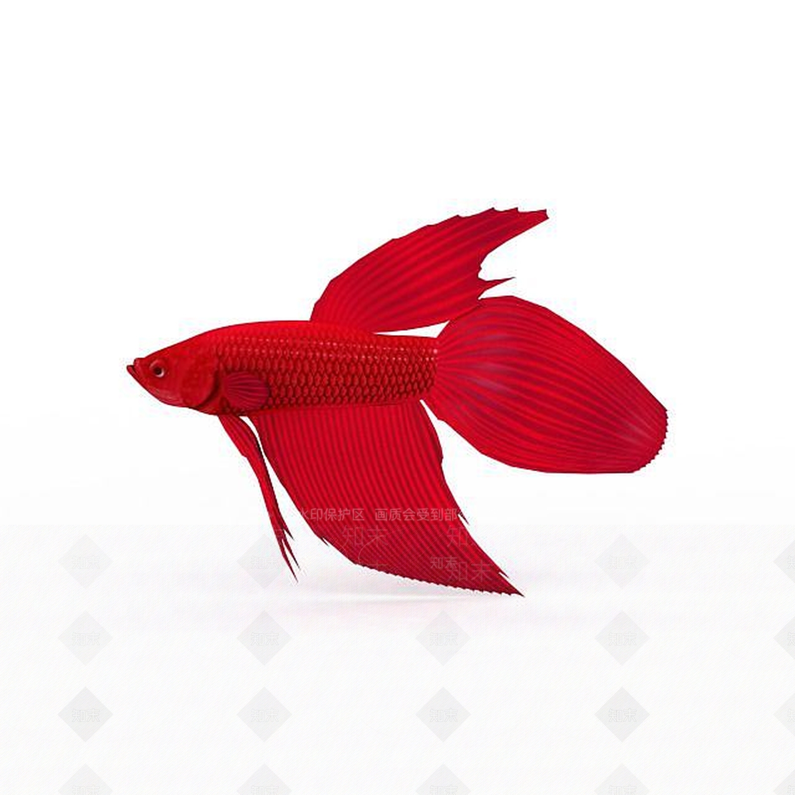 现代爬行类动物3D模型下载【ID:1197259996】