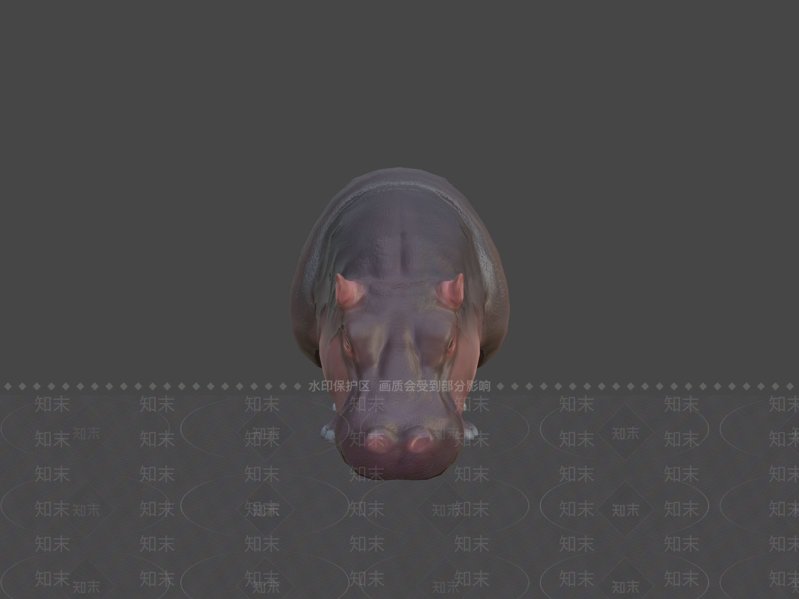 其他动物3D模型下载【ID:1197273504】