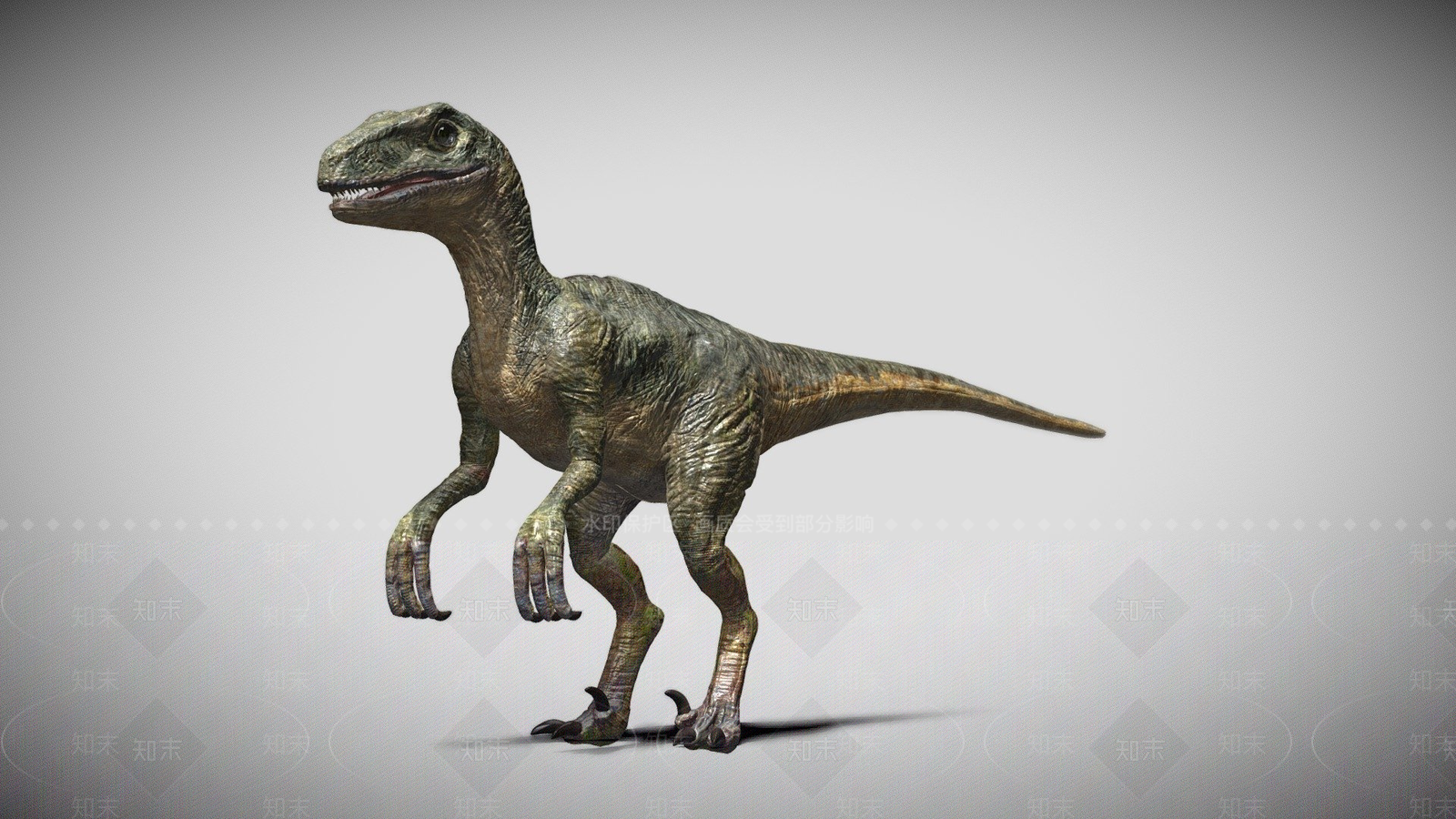 虚拟人物龙3D模型下载【ID:1197276961】