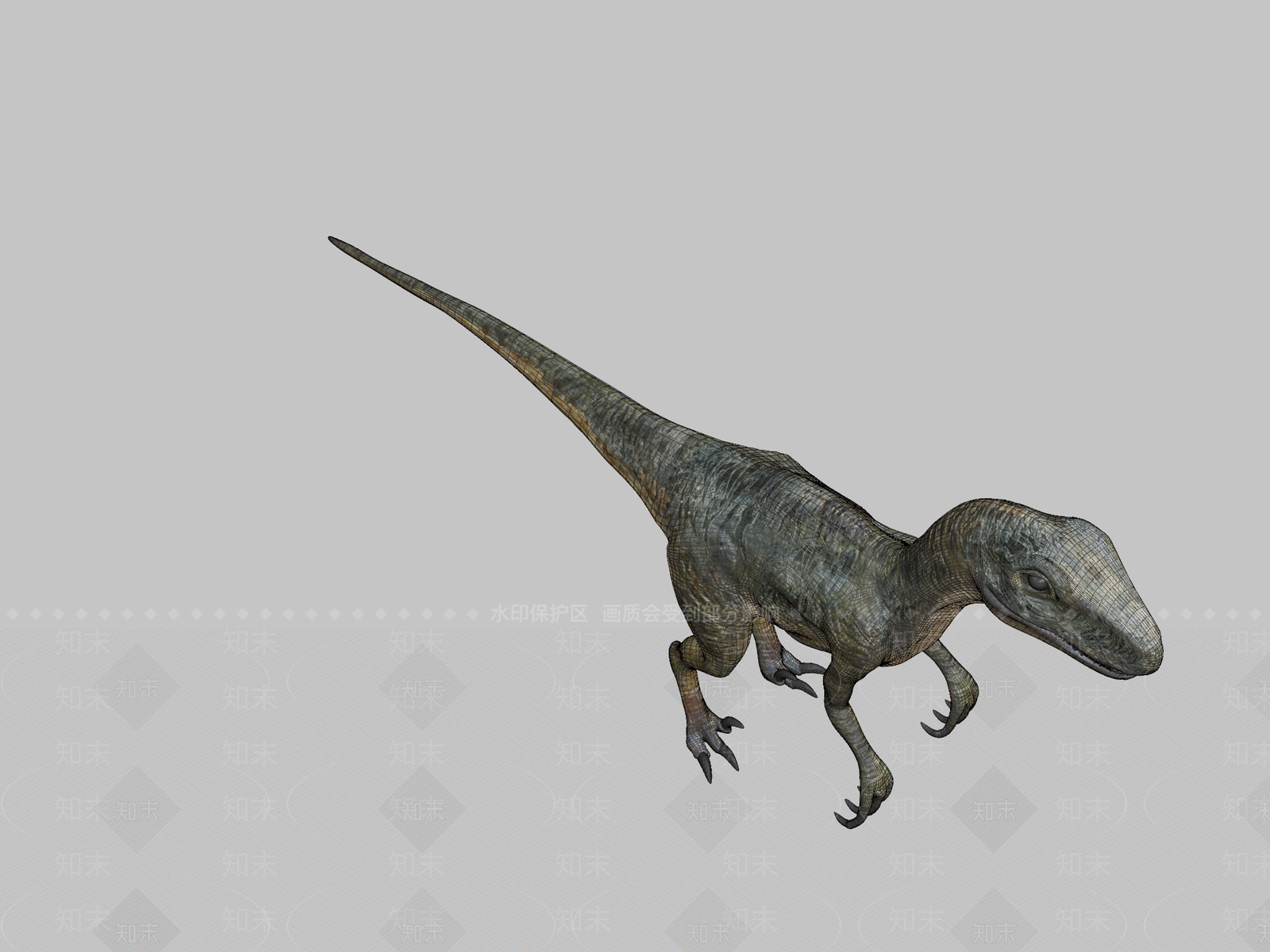 虚拟人物龙3D模型下载【ID:1197276961】