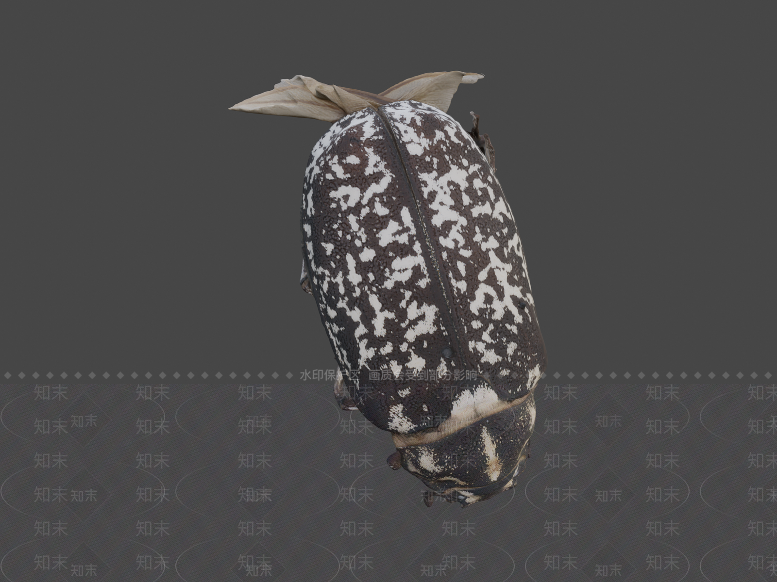 其他动物3D模型下载【ID:1197279541】
