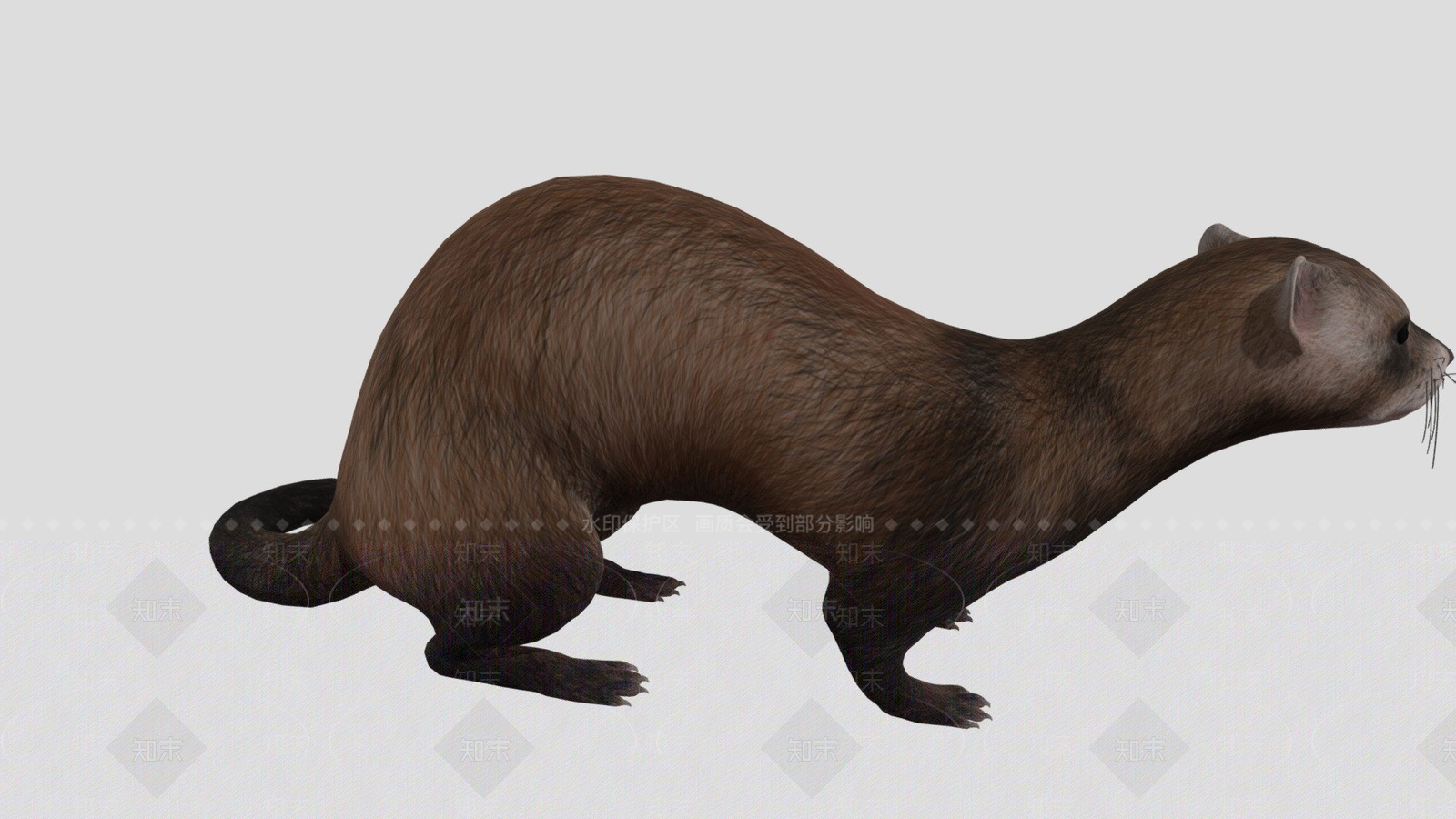 其他动物3D模型下载【ID:1197280775】