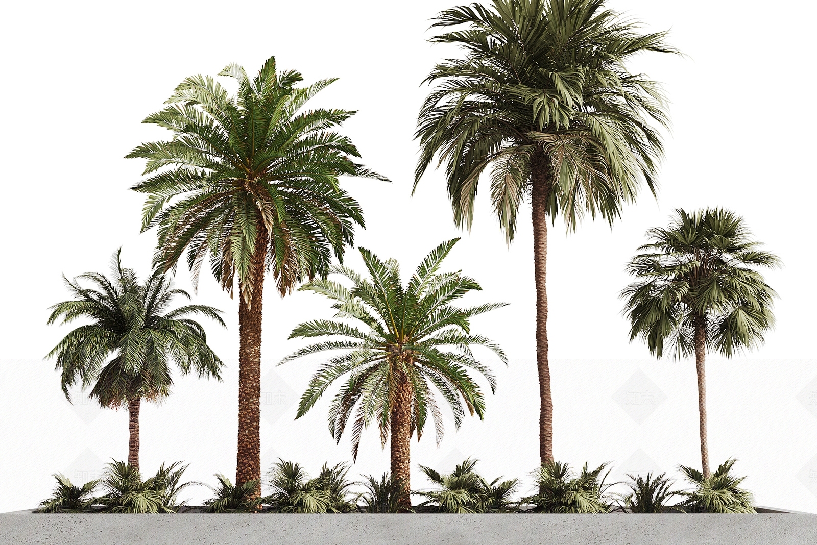 景观树3D模型下载【ID:1197286083】