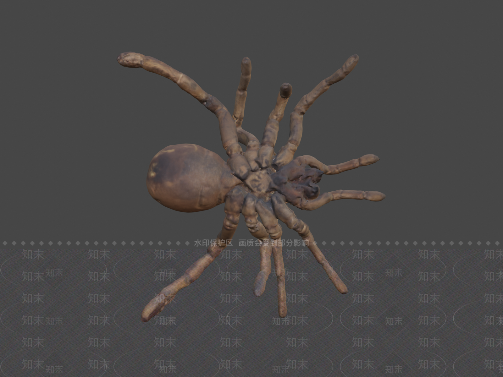 其他动物3D模型下载【ID:1197286403】