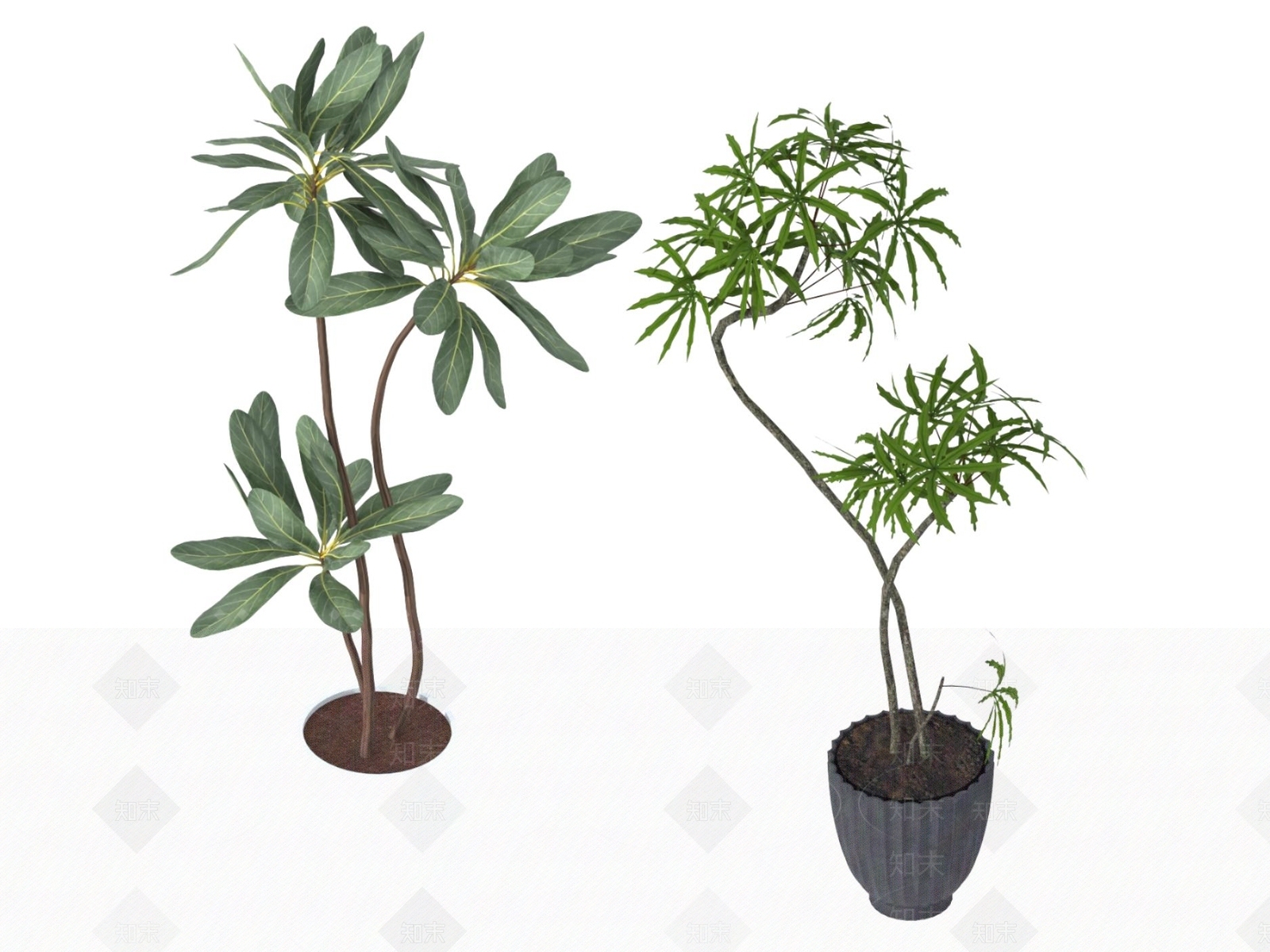 盆栽3D模型下载【ID:1197290488】