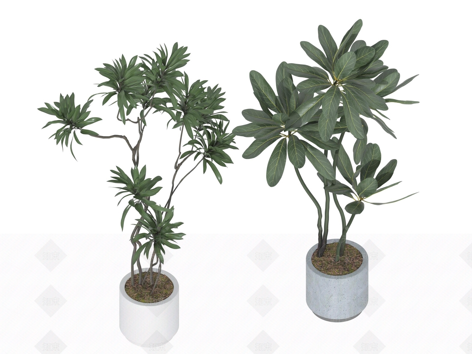 盆栽3D模型下载【ID:1197290673】