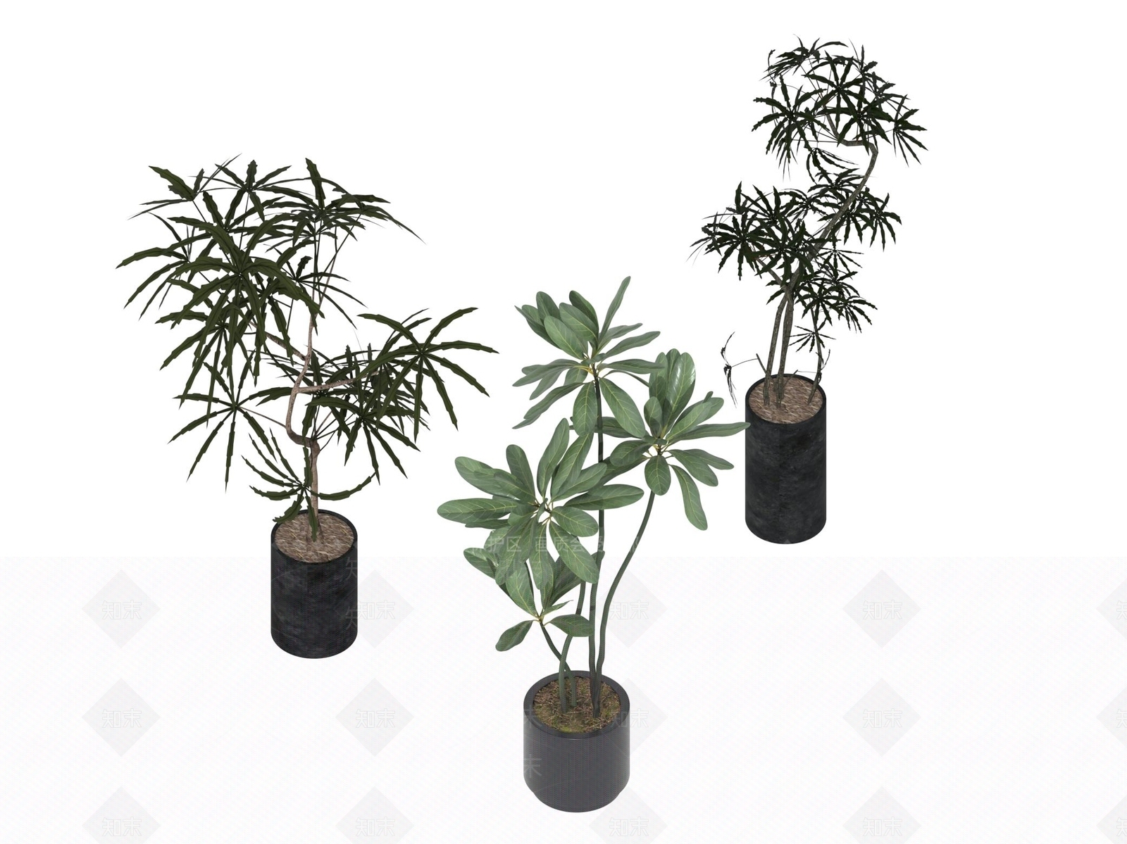 盆栽3D模型下载【ID:1197290709】