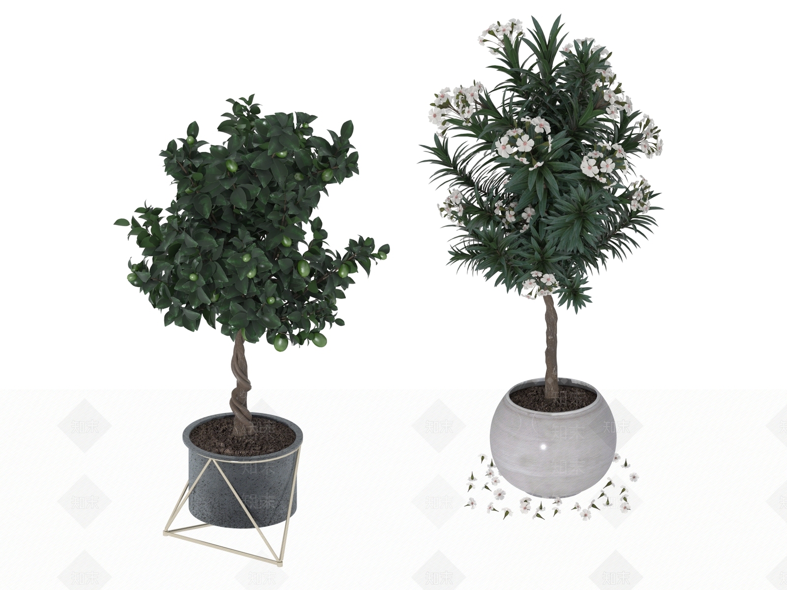 盆栽3D模型下载【ID:1197291947】