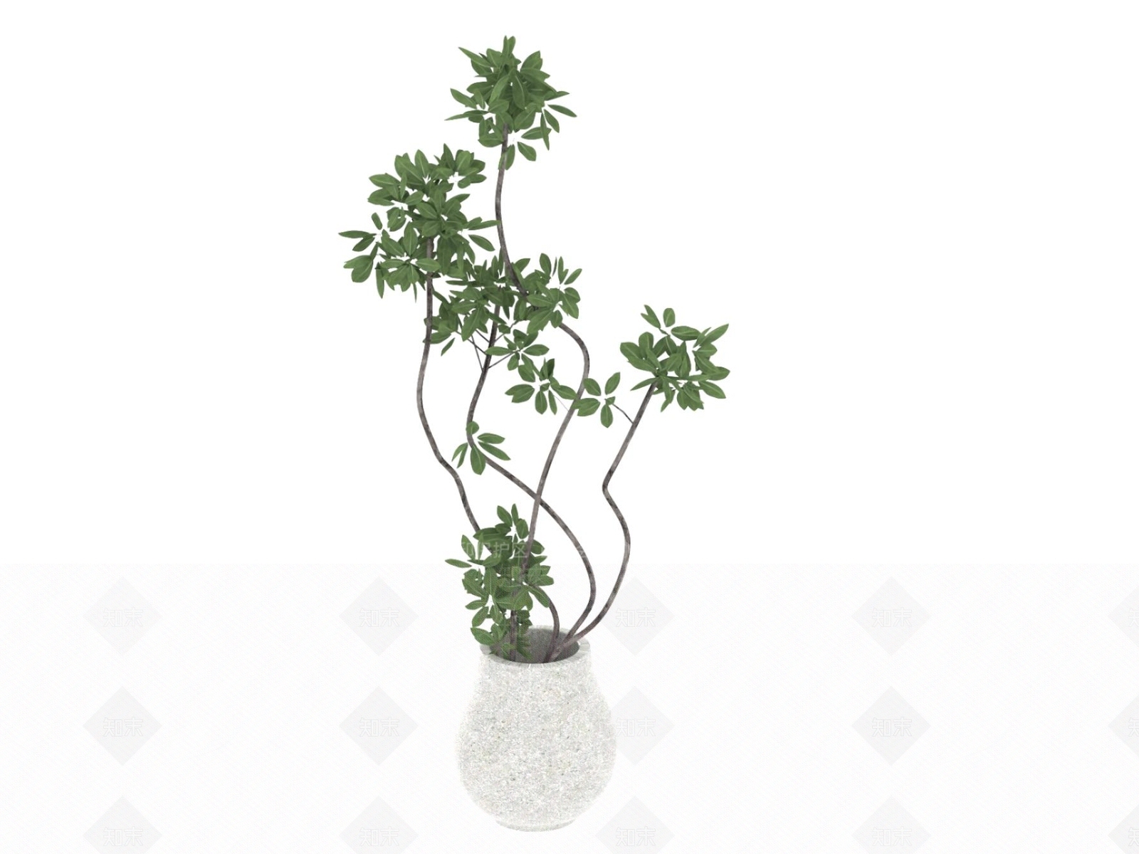 盆栽3D模型下载【ID:1197292533】