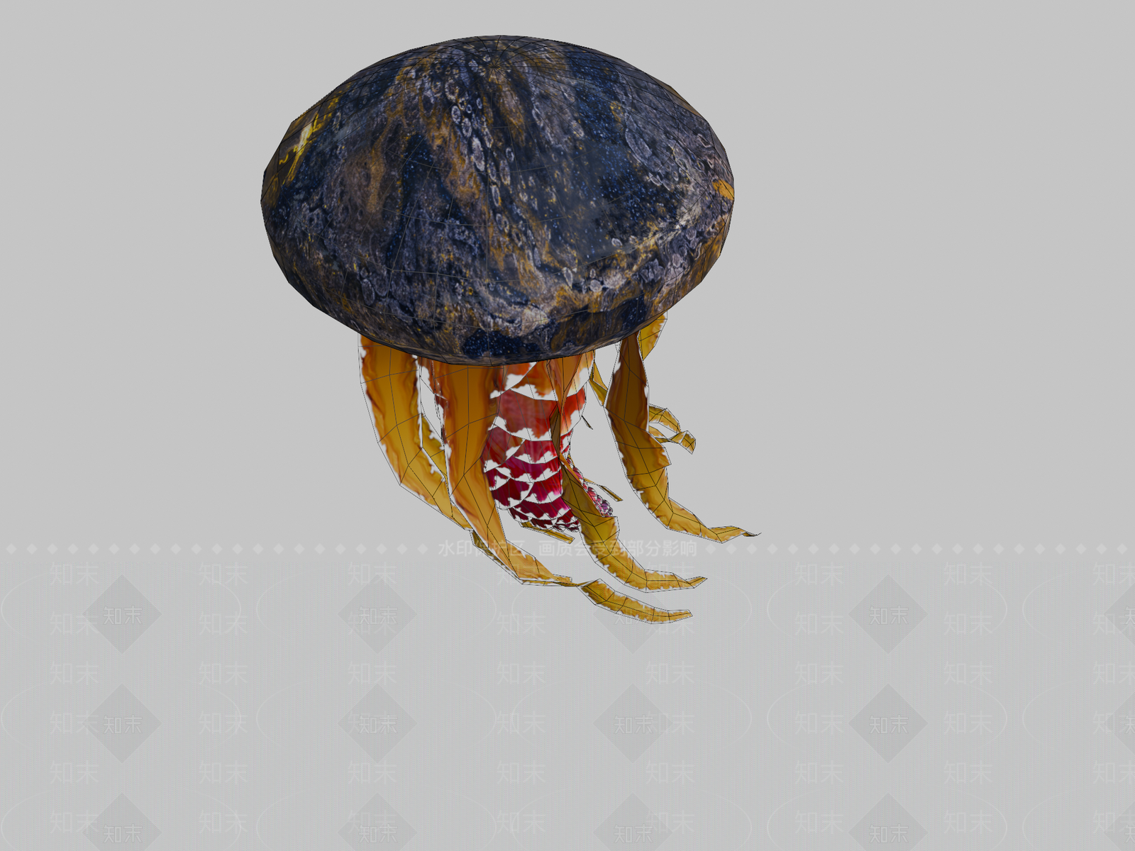 其他动物3D模型下载【ID:1197293539】
