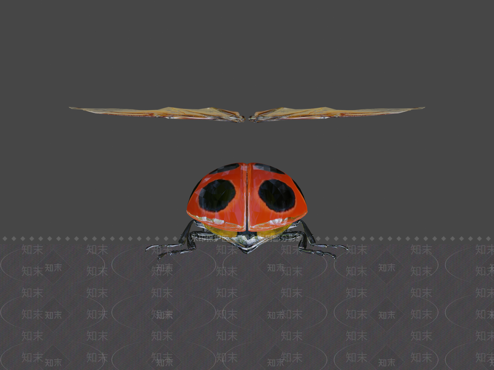 其他动物3D模型下载【ID:1197294780】