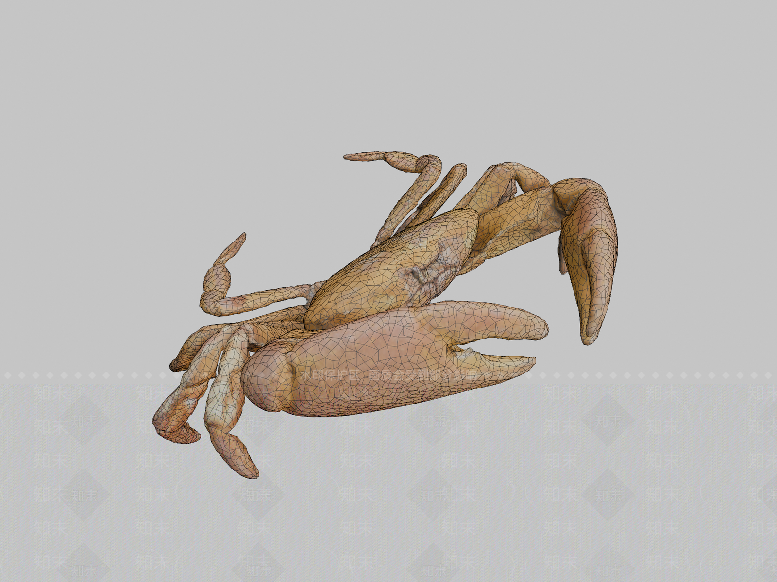 其他动物3D模型下载【ID:1197299243】