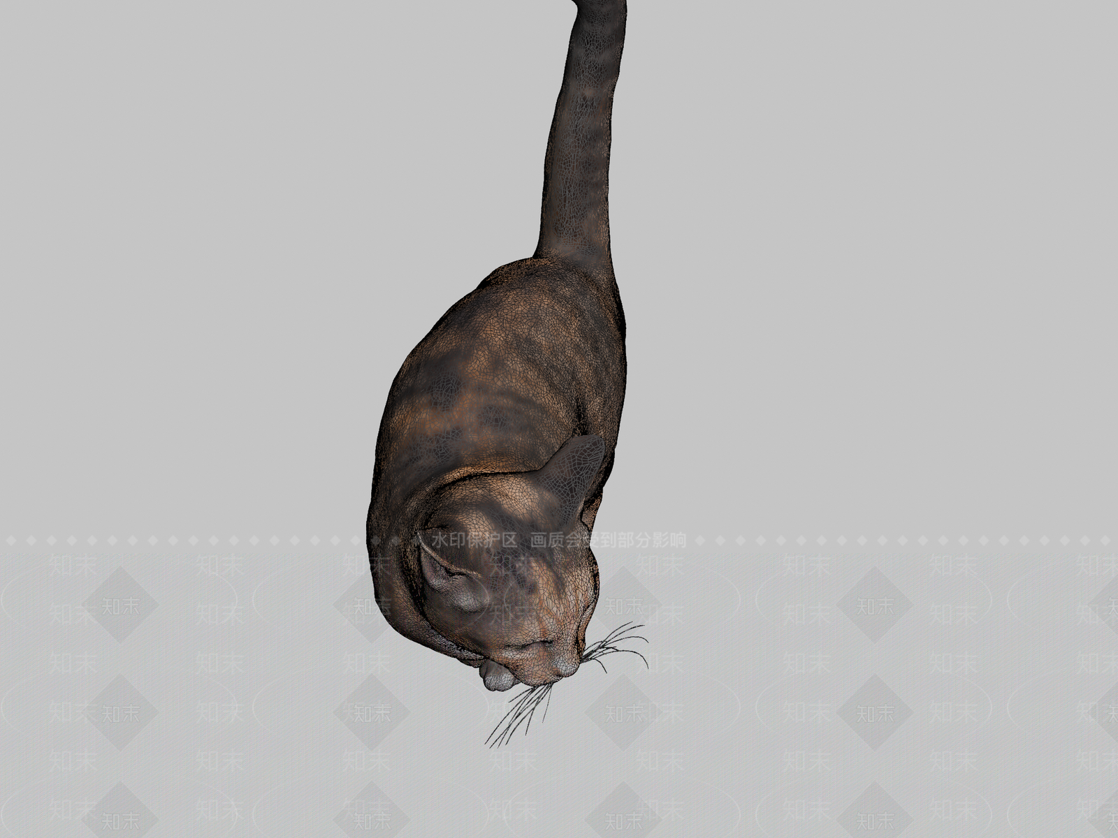 其他动物3D模型下载【ID:1197302767】