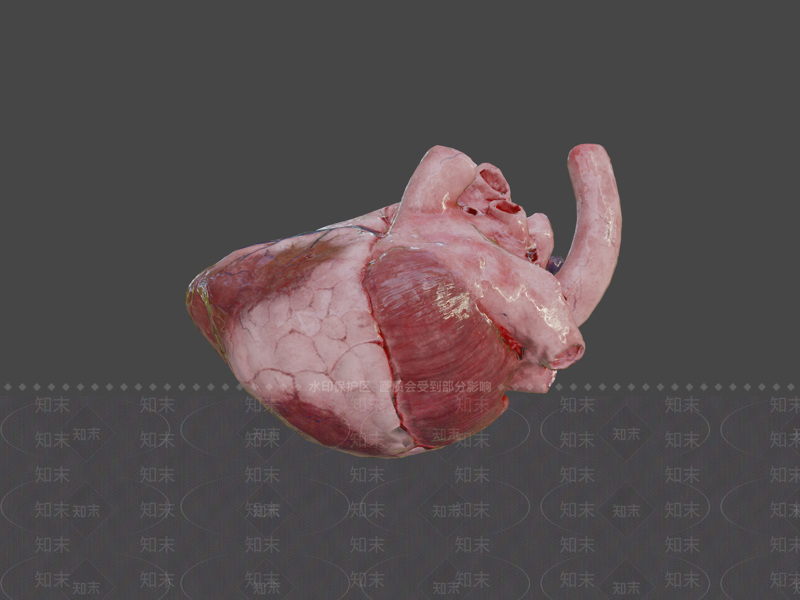 酒水食物3D模型下载【ID:1197303192】