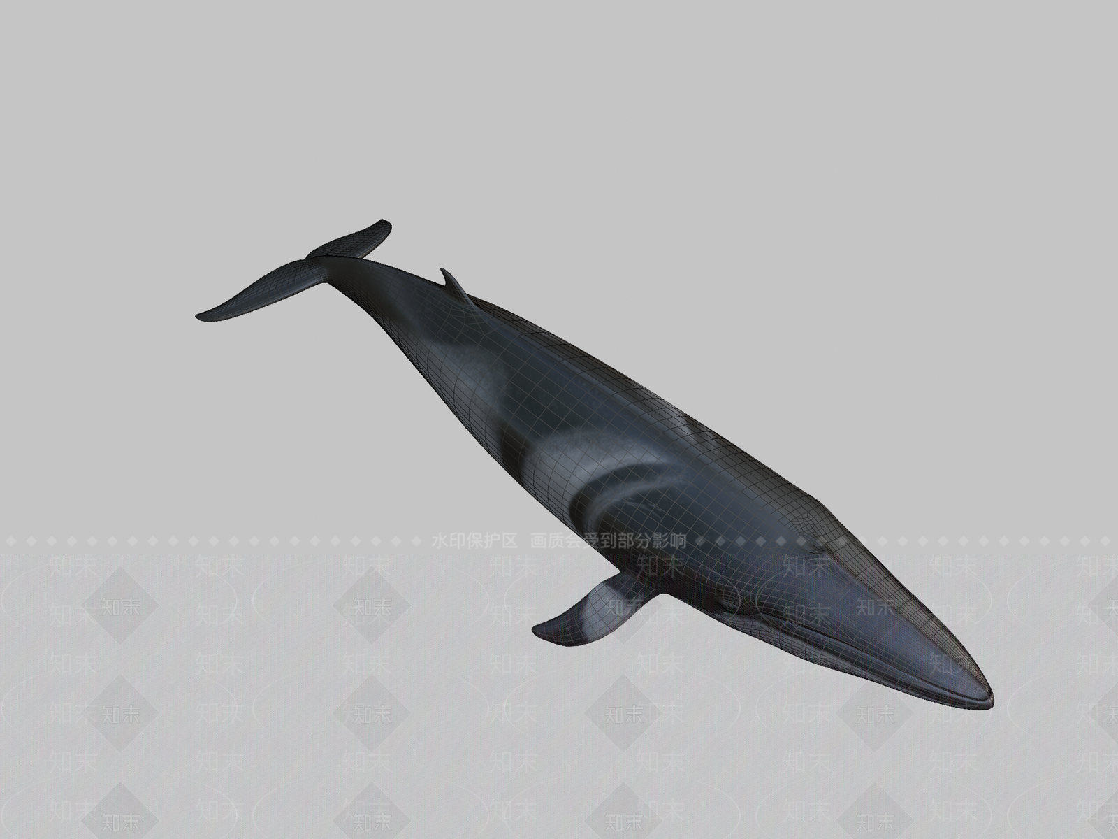 其他动物3D模型下载【ID:1197307054】