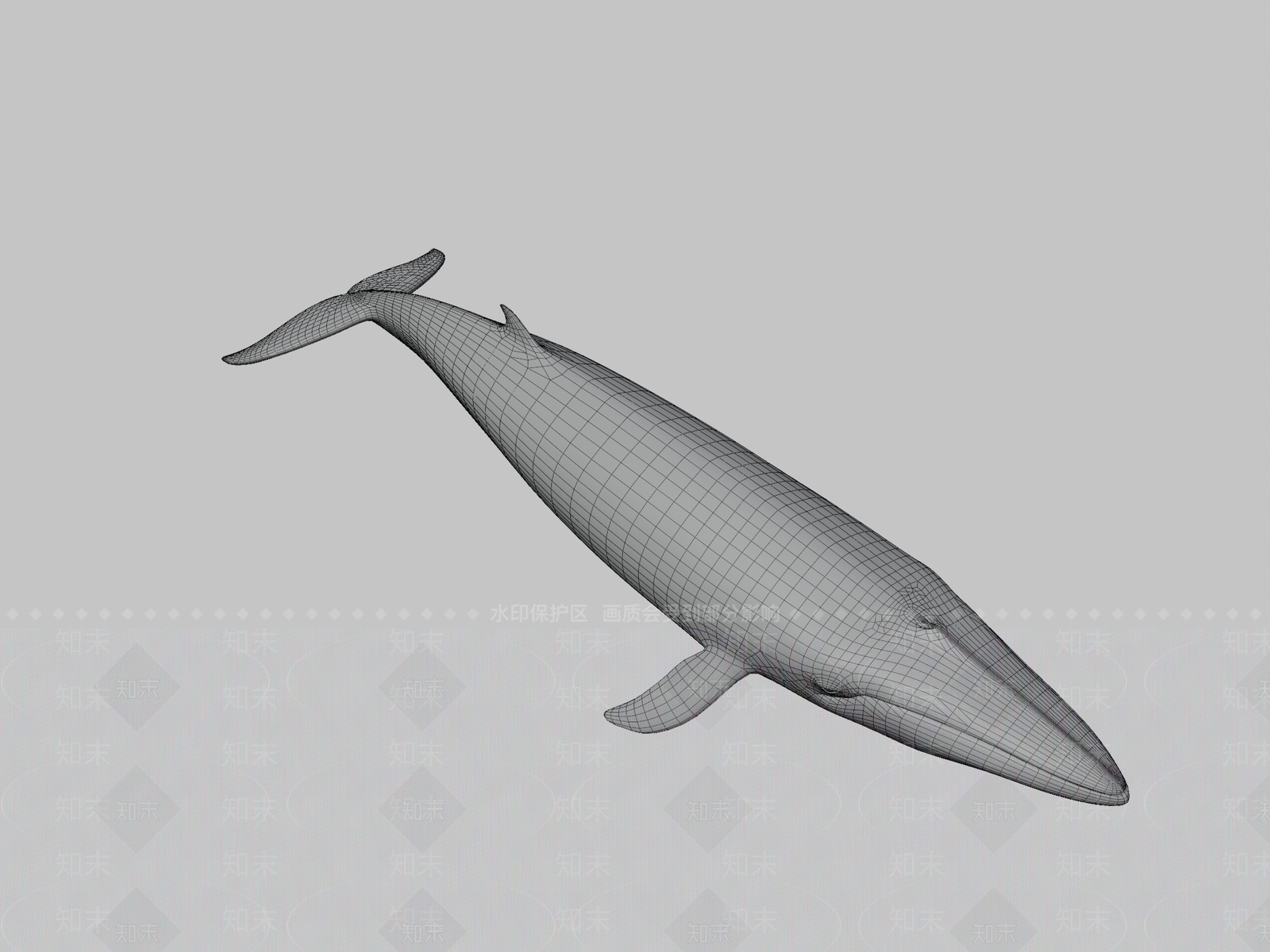 其他动物3D模型下载【ID:1197307054】