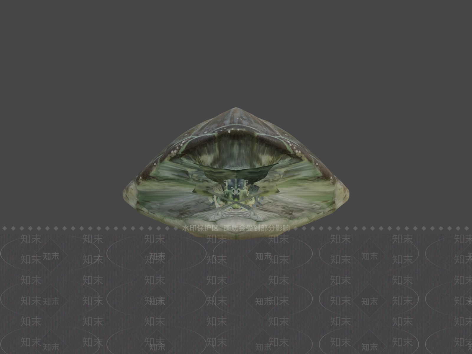 其他动物3D模型下载【ID:1197308018】