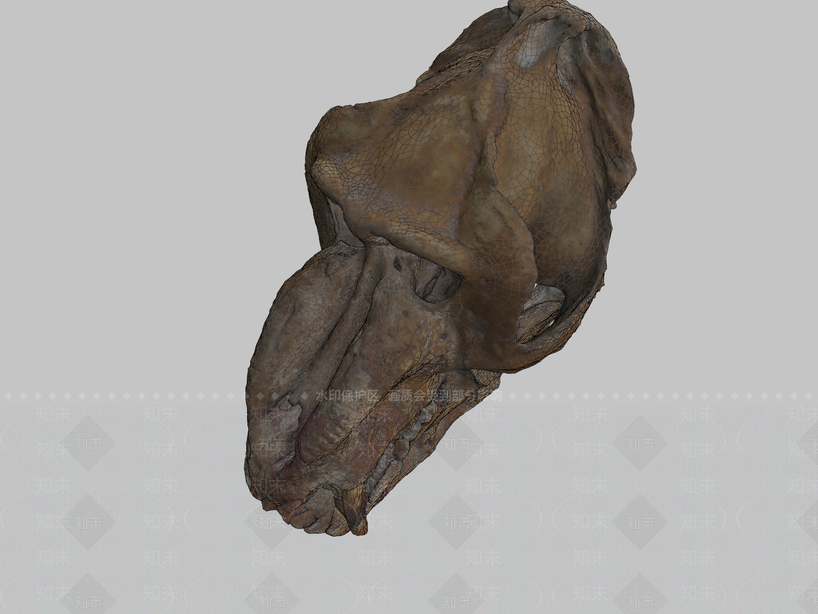其他动物3D模型下载【ID:1197308947】