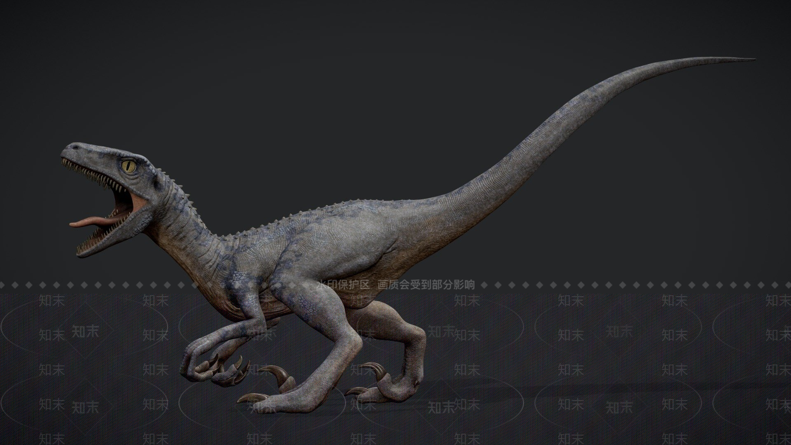 其他动物3D模型下载【ID:1197309259】