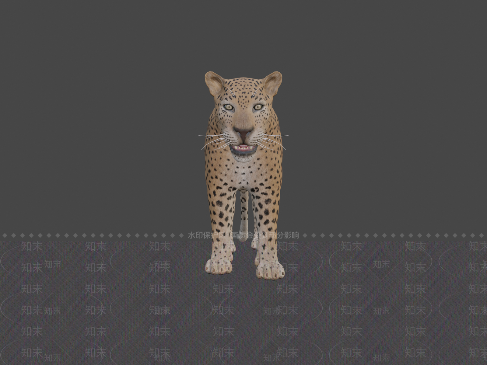 其他动物3D模型下载【ID:1197312066】