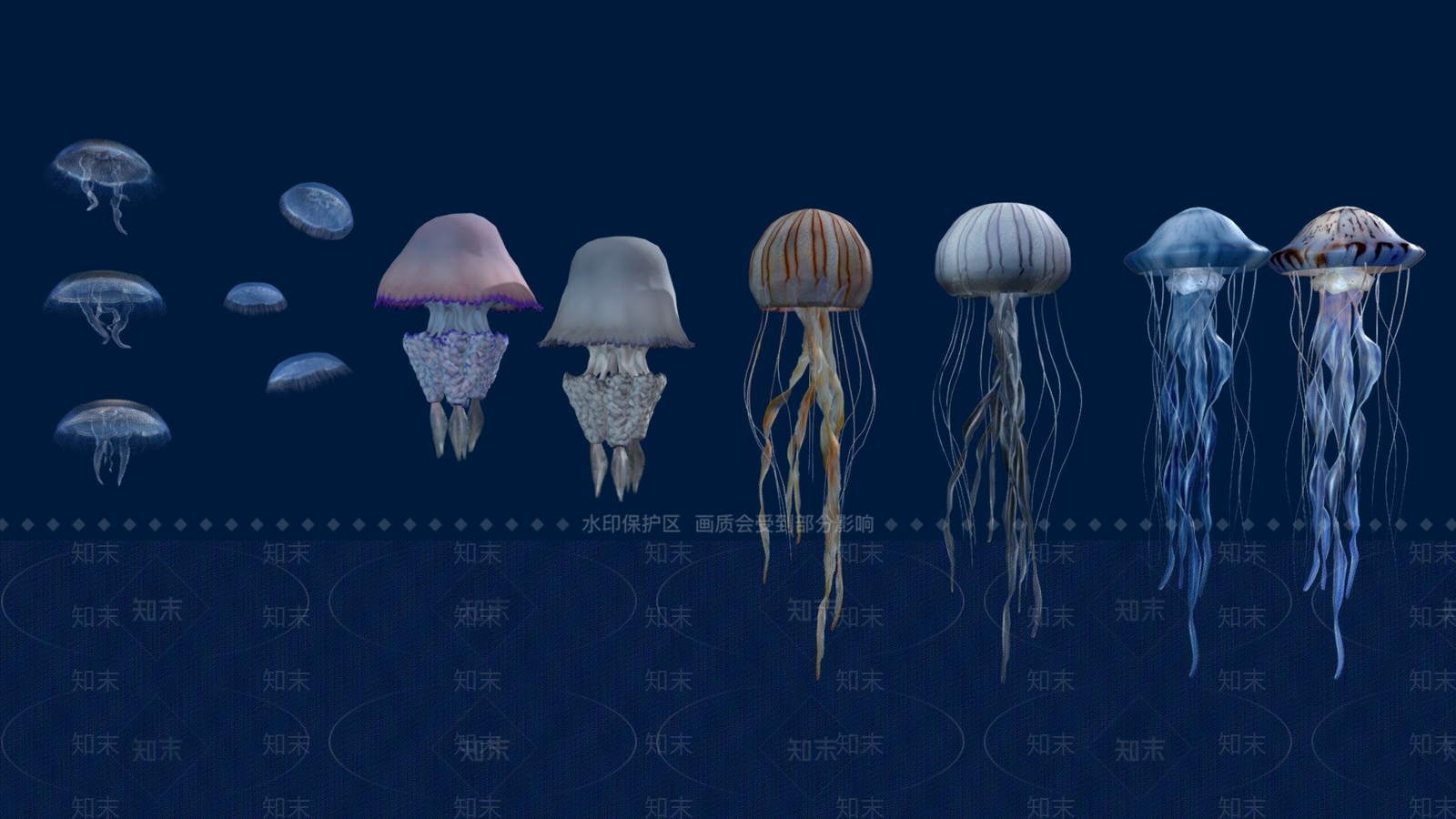 其他动物3D模型下载【ID:1197316104】