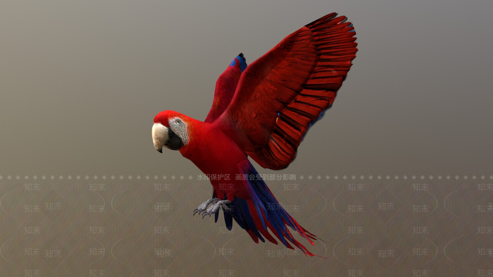 飞行类动物3D模型下载【ID:1197316920】