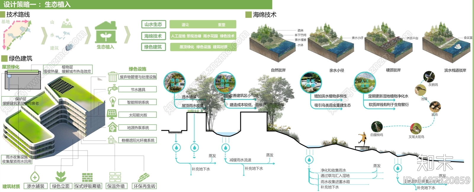 植物分析图设计素材精品下载_知末网