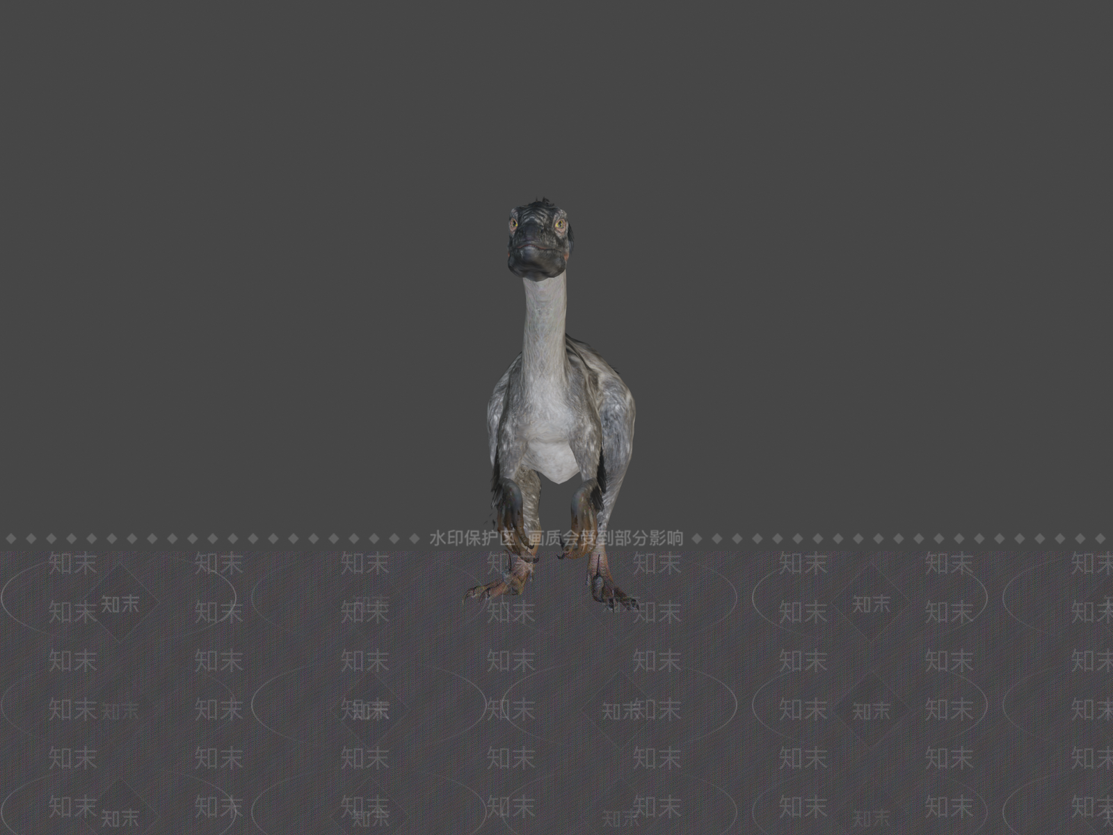 其他动物3D模型下载【ID:1197324584】