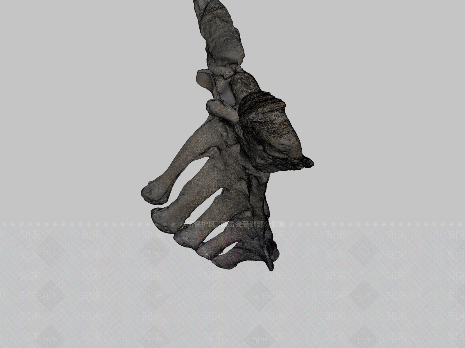 其他动物3D模型下载【ID:1197326580】