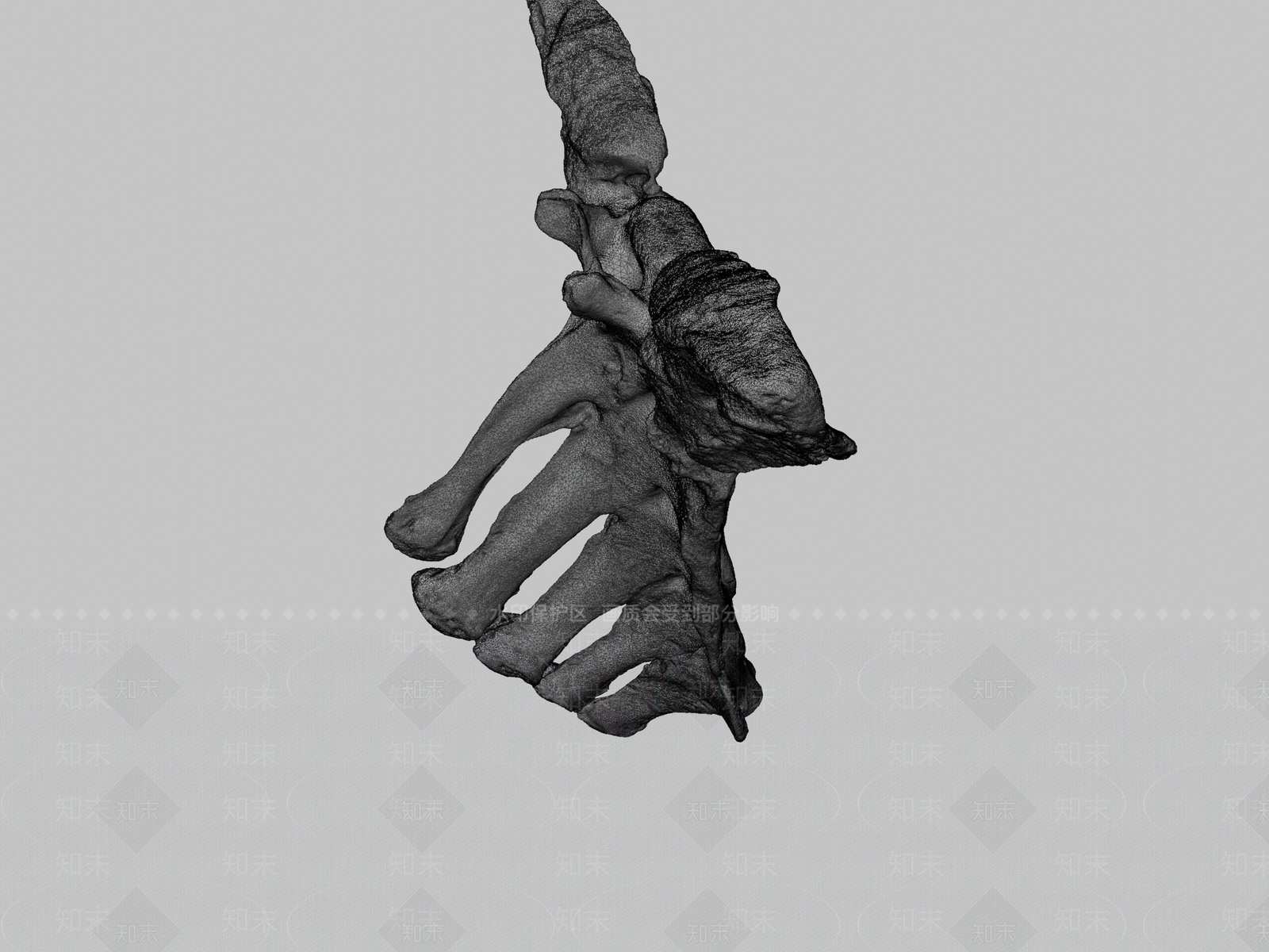 其他动物3D模型下载【ID:1197326580】