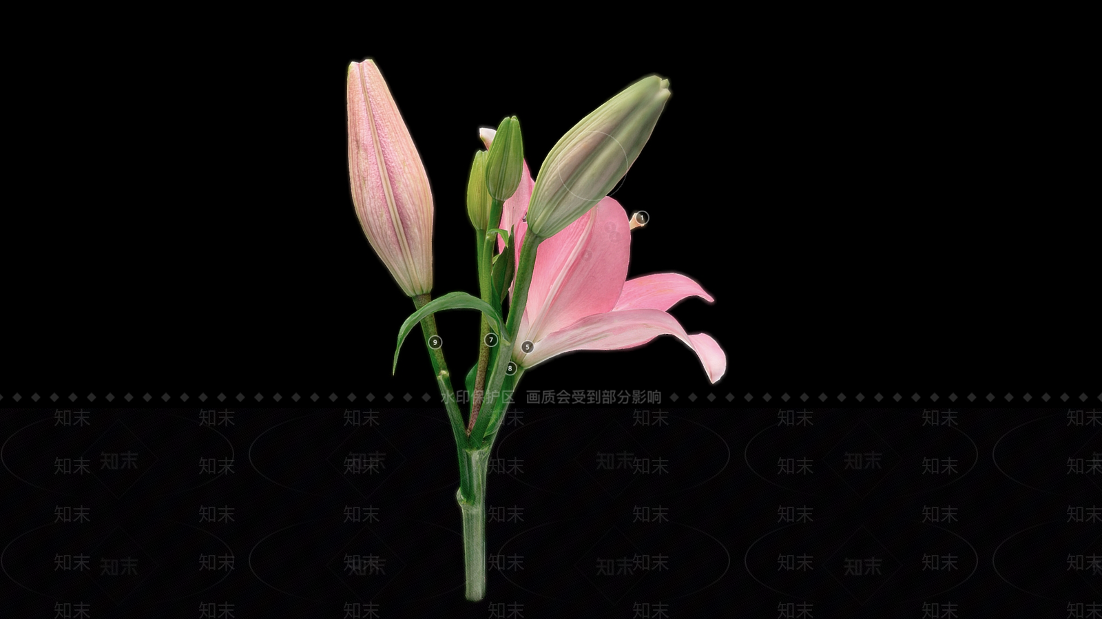 花3D模型下载【ID:1197332100】