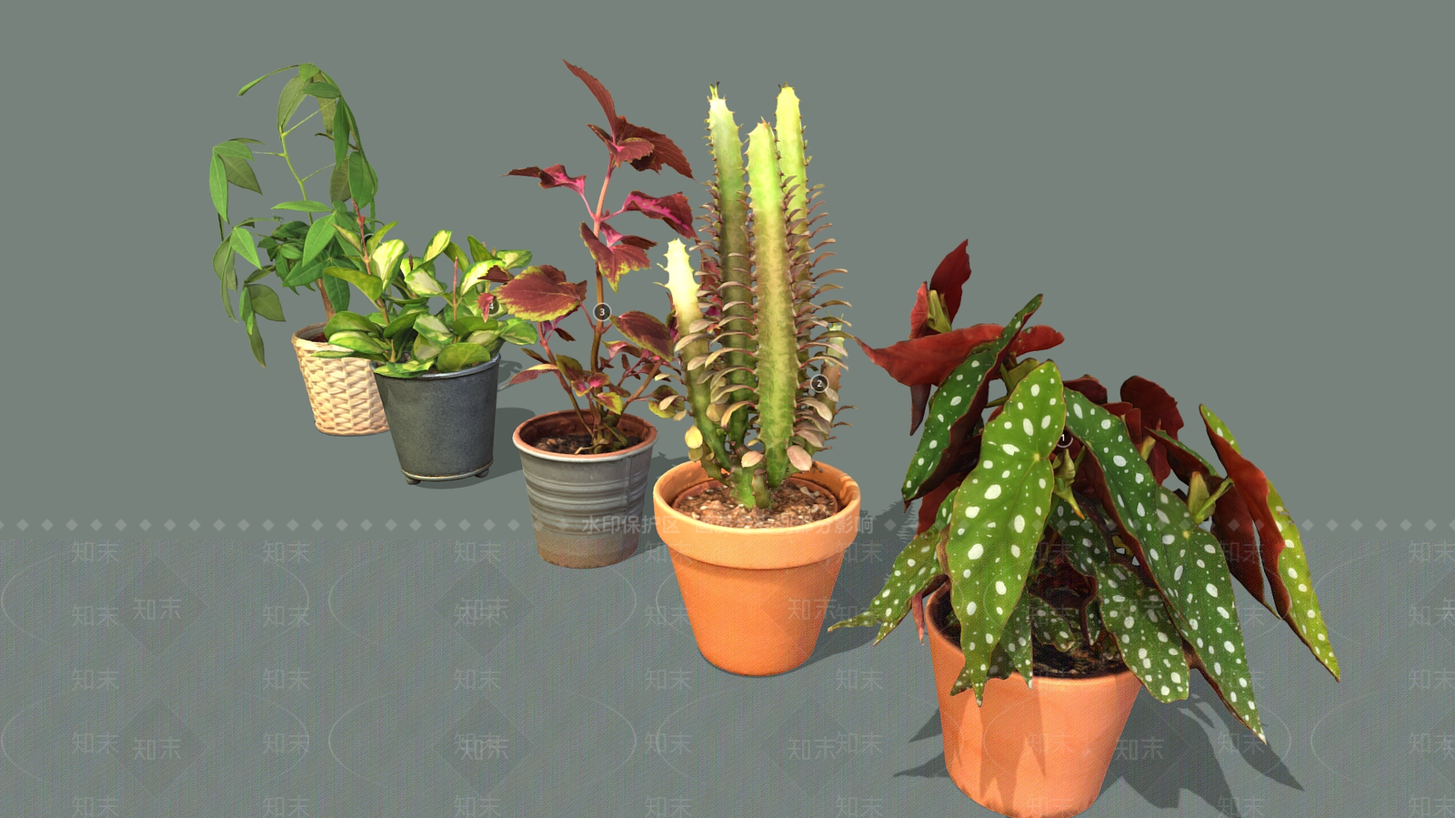 盆栽3D模型下载【ID:1197337101】