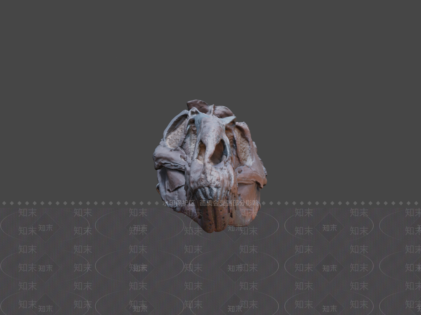 其他动物3D模型下载【ID:1197338489】
