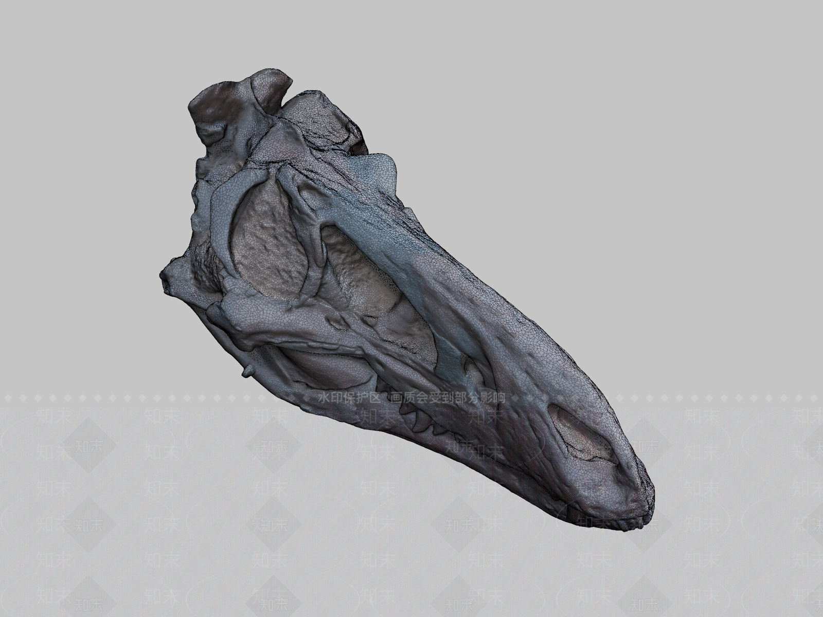 其他动物3D模型下载【ID:1197338489】