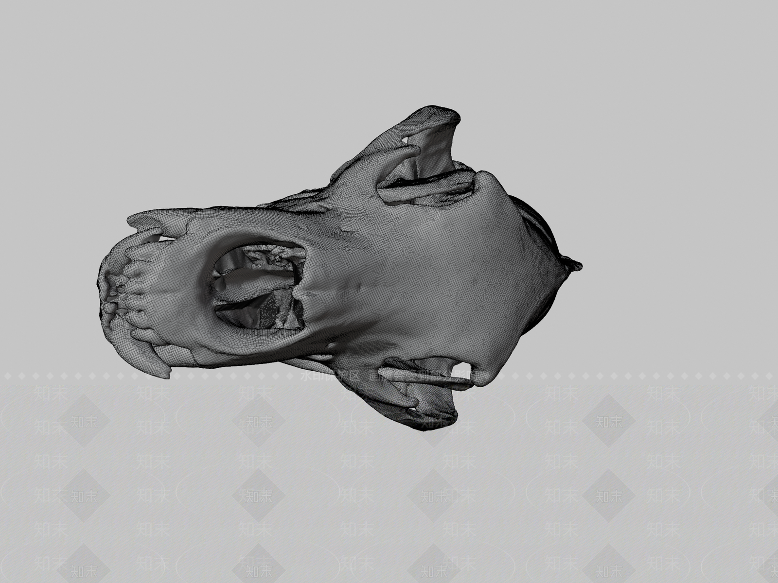 其他动物3D模型下载【ID:1197339740】