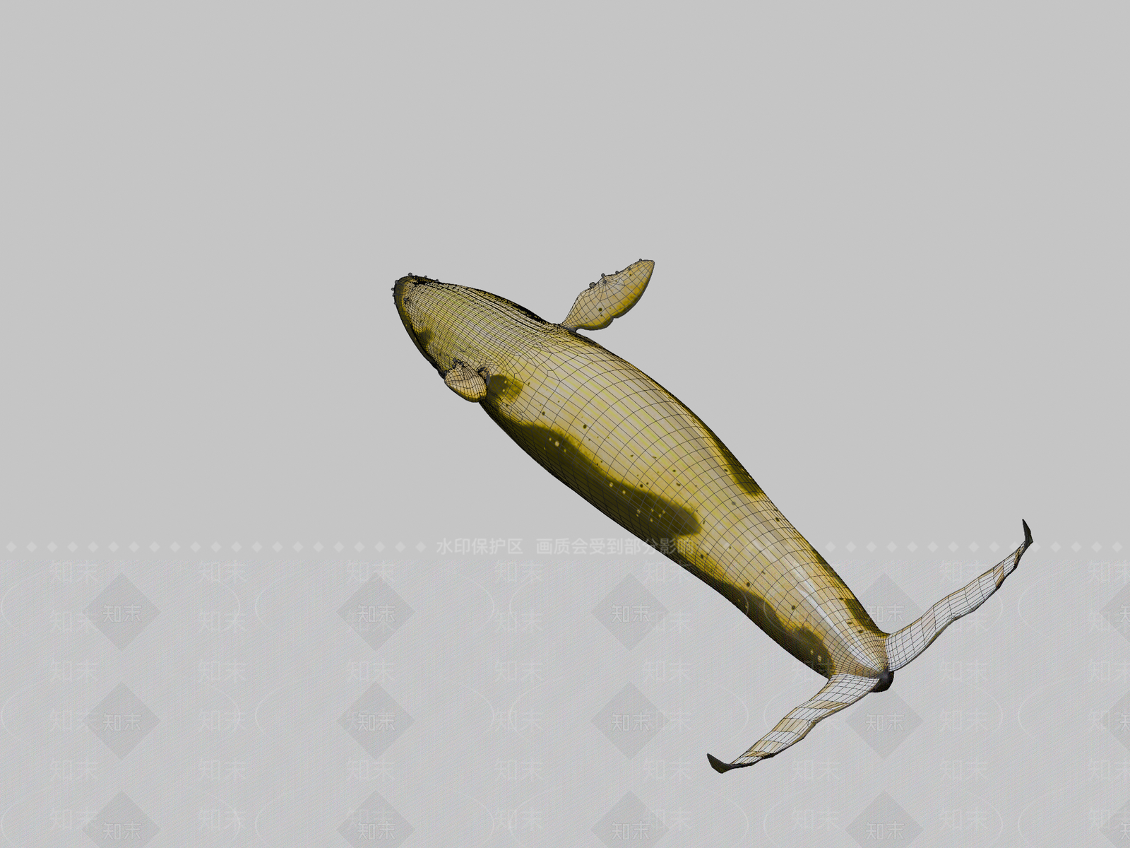 其他动物3D模型下载【ID:1197346510】