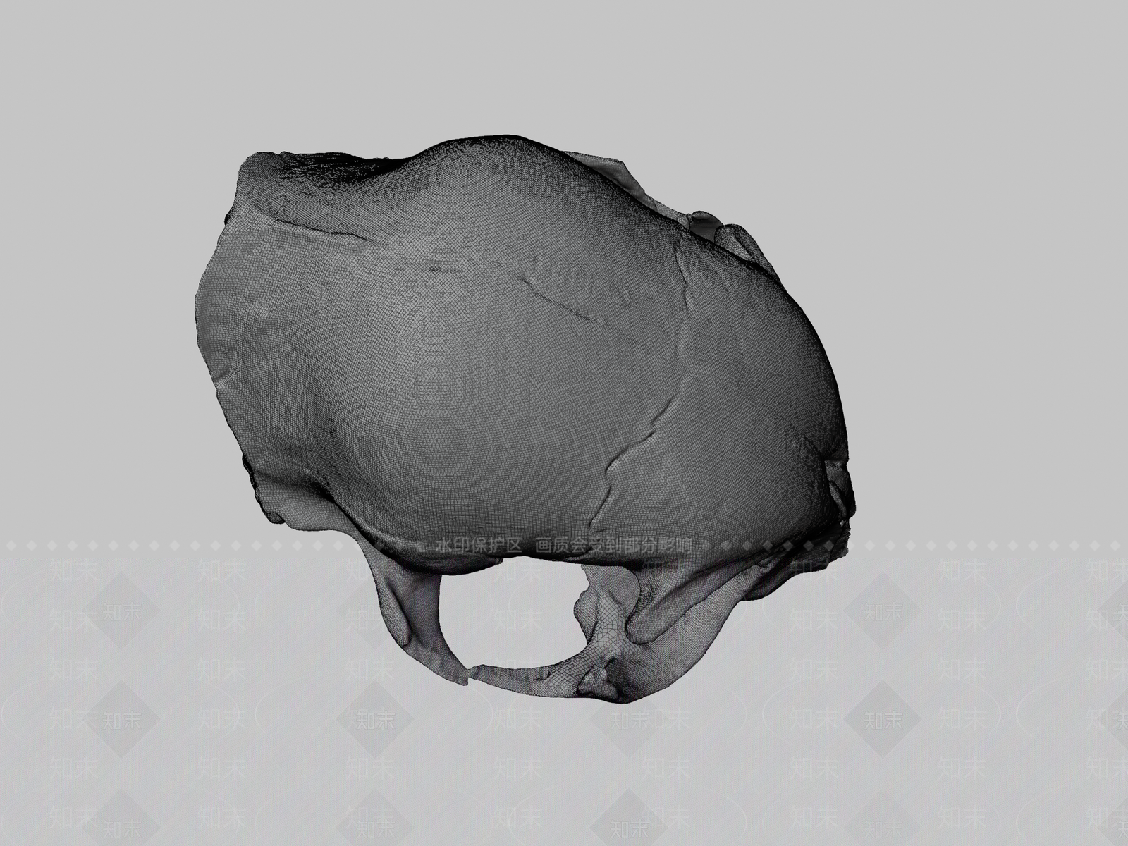 其他动物3D模型下载【ID:1197348724】