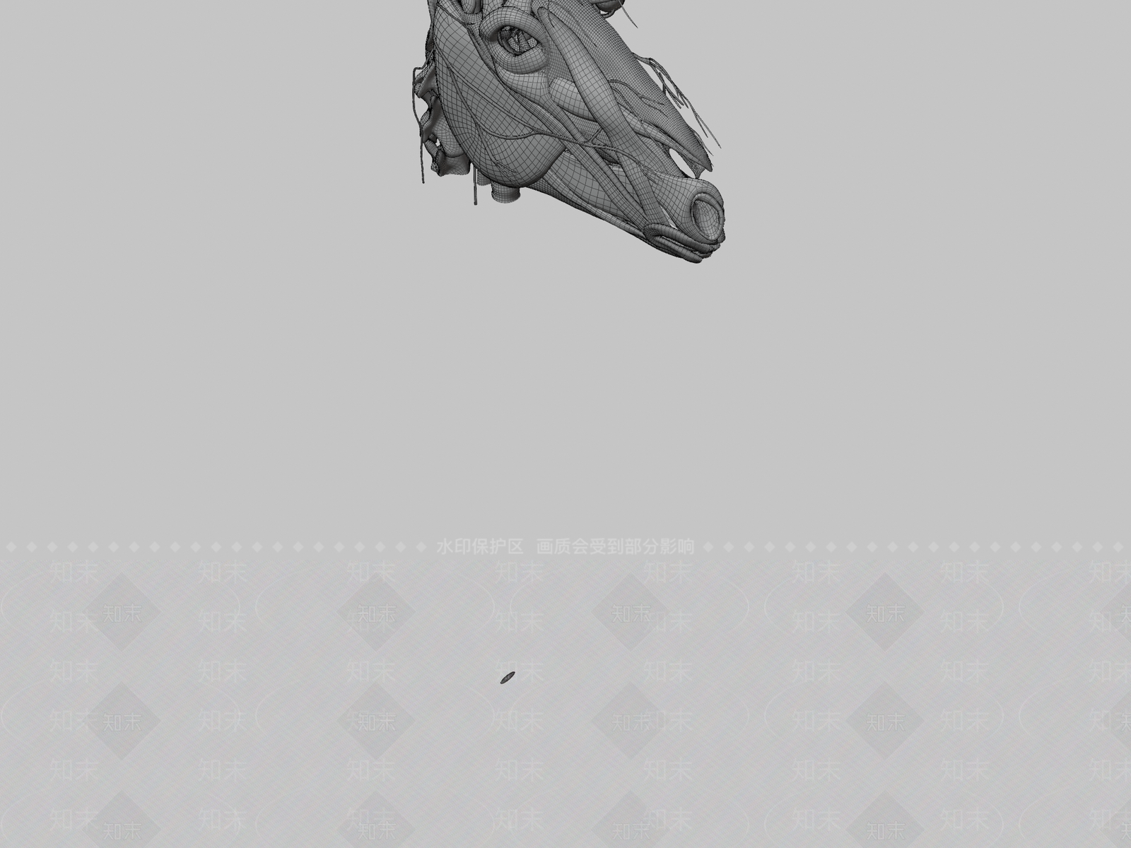 其他动物神经3D模型下载【ID:1197352940】