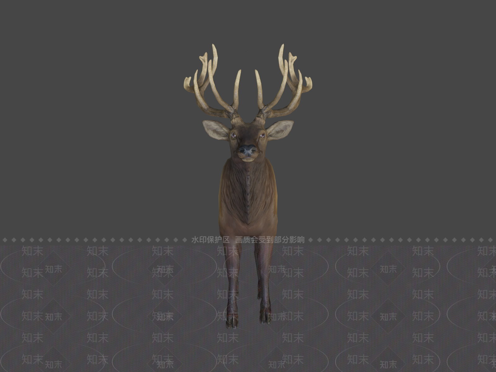 其他动物3D模型下载【ID:1197353421】