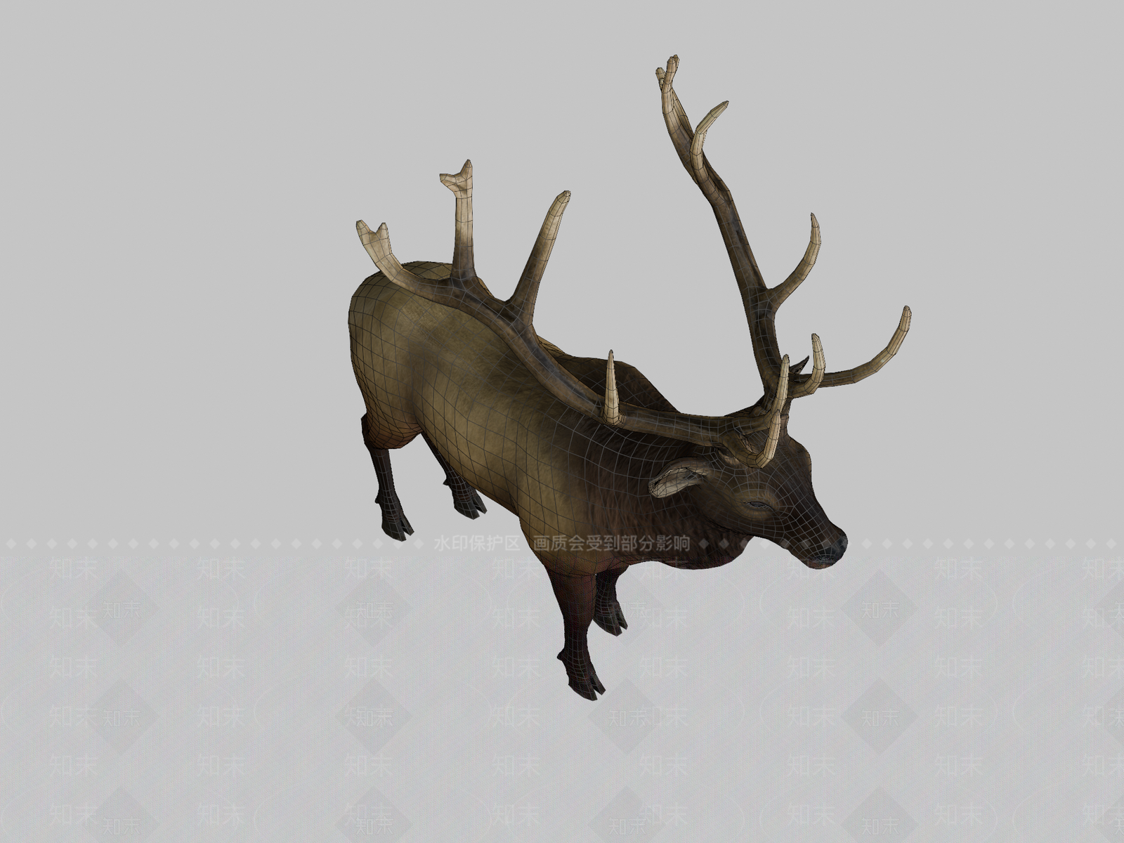 其他动物3D模型下载【ID:1197353421】
