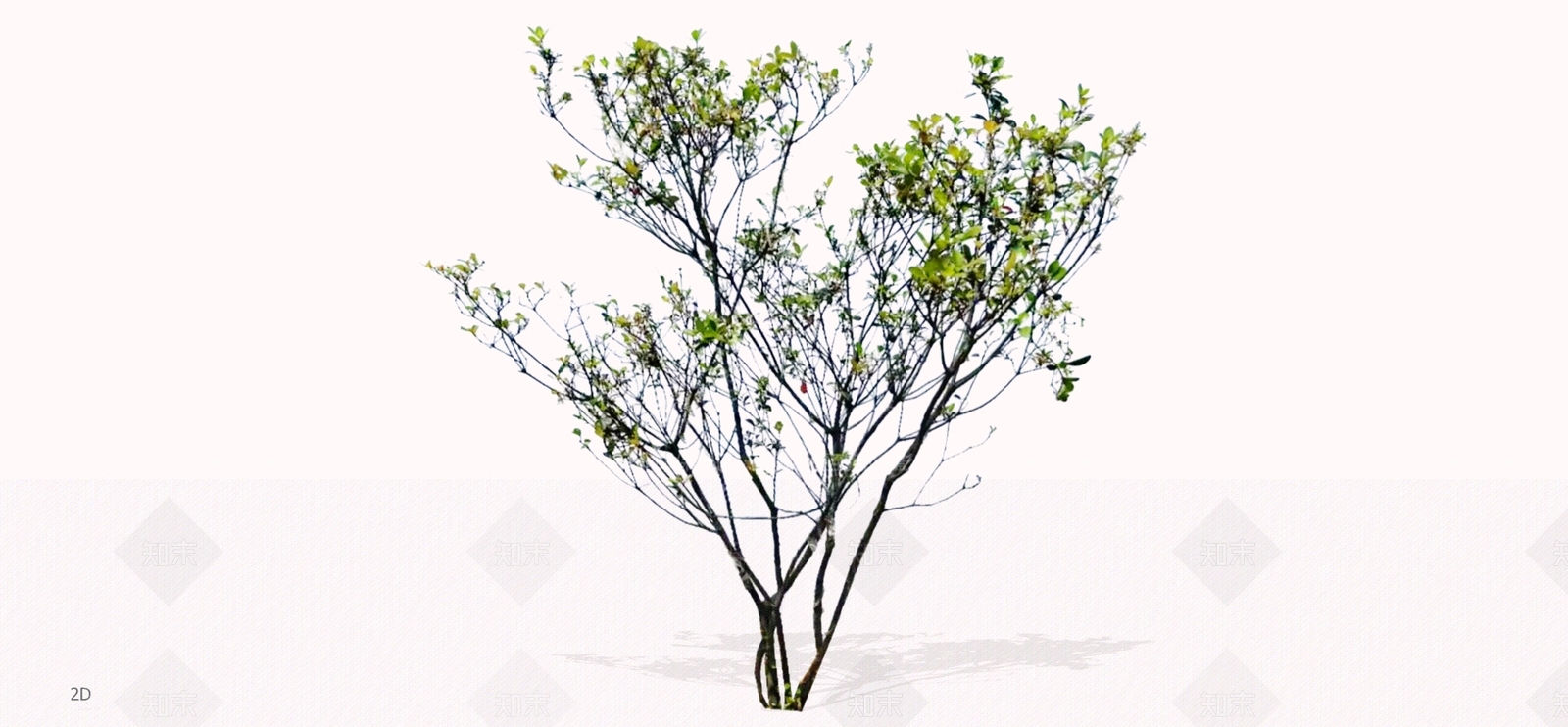 乔木SU模型下载【ID:1197353804】