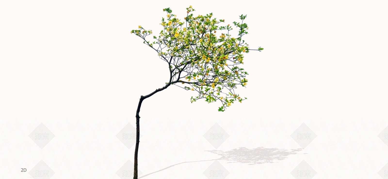 乔木SU模型下载【ID:1197357236】