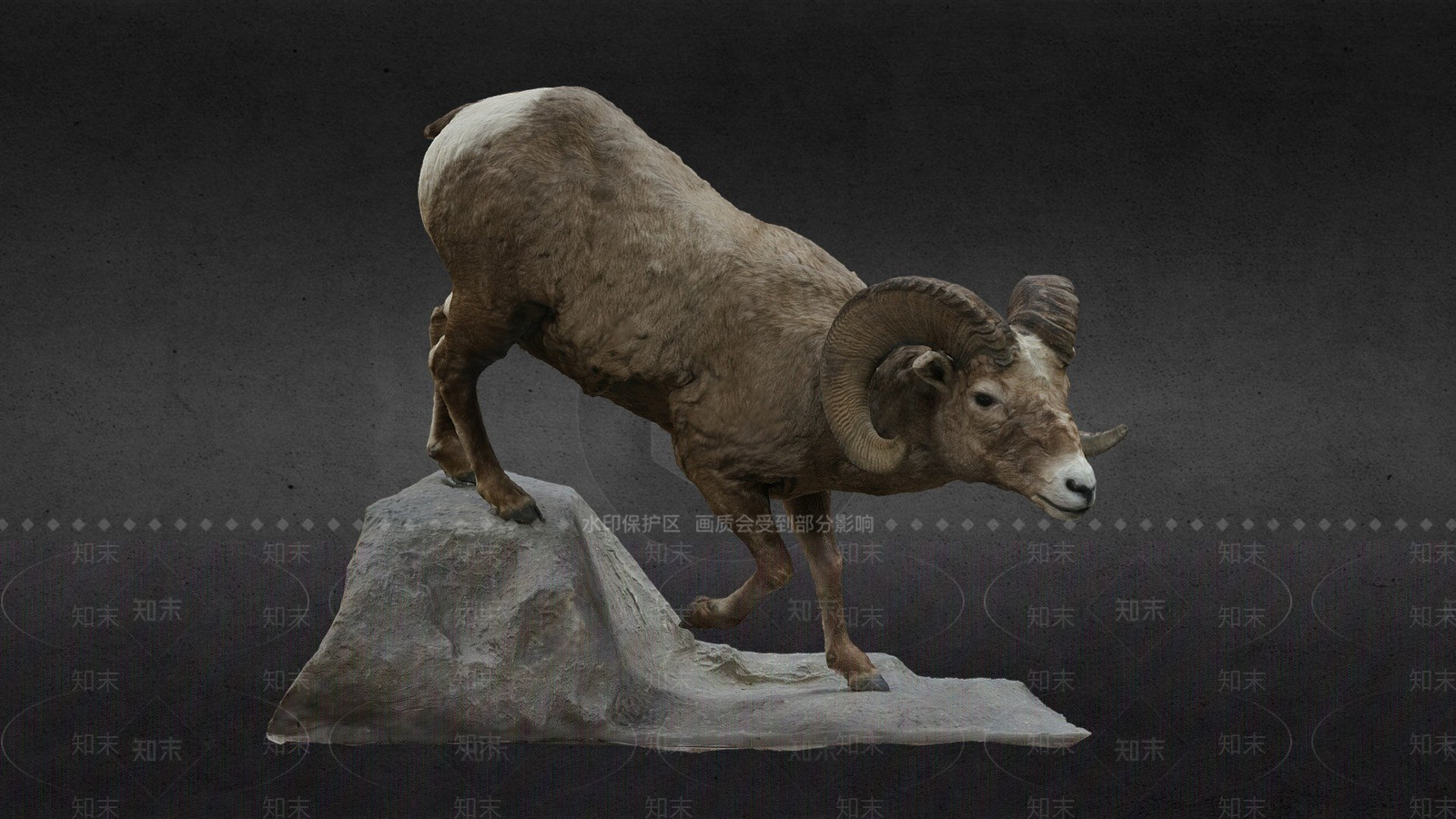 其他动物3D模型下载【ID:1197358289】