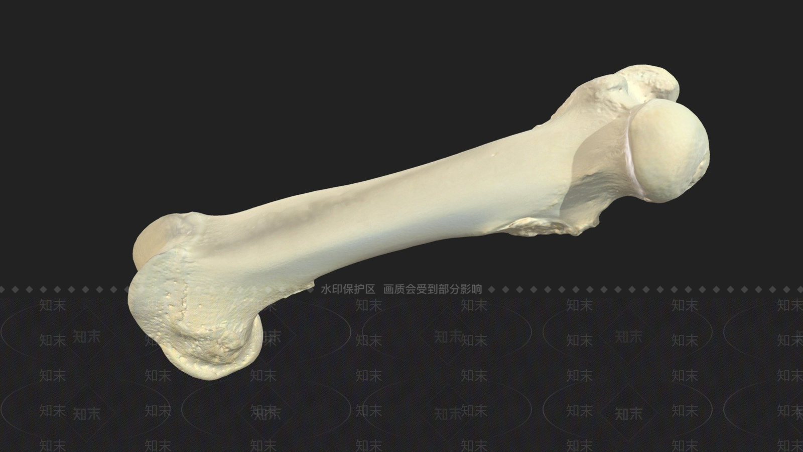 虚拟人物3D模型下载【ID:1197360053】